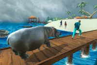 Wild Hippo Beach Simulator Screen Shot 7