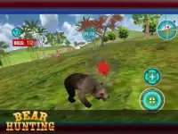 Wild Bear Sniper Shooter 3D Screen Shot 11