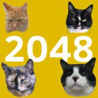 2048 Cats