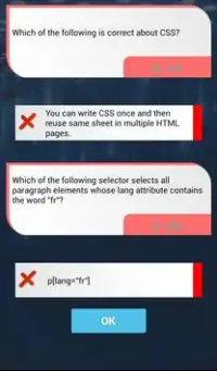 CSS Quiz Screen Shot 4