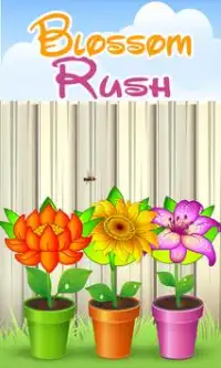 Blossom Rush Screen Shot 0