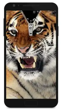 Cremallera de tigre - falso Screen Shot 0