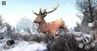 Gry polowania na jelenie Gun - Gry strzelanki FPS Screen Shot 2