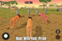 The Lion Simulator: Animal Family Game Screen Shot 3