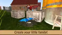 Birdy Pet - Parrot Life Simulator Screen Shot 3