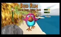 Bird Run, Fly & Jump: Angry Race Screen Shot 2