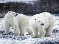 Jigsaw Puzzles with Cool Animal Pictures Screen Shot 13