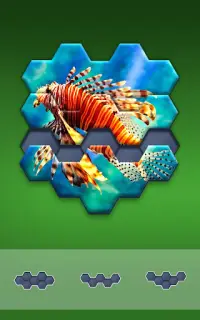 Hexa Jigsaw Puzzle ® Screen Shot 9