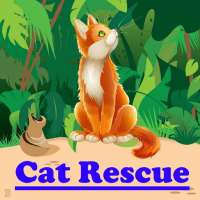 Cat Rescue