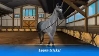 Horse Hotel - care for horses Screen Shot 4