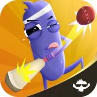 Cricket Buddy Multiplayer