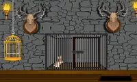 Bunny Cage Escape Screen Shot 0