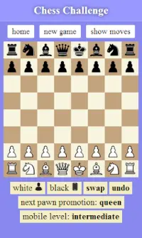 Chess Challenge Screen Shot 1