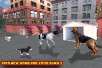 Dog Sim Pet Animal Games Screen Shot 4