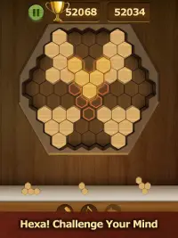 Wood Block Puzzle 2021 - Wooden 3D Cube Puzzle Gem Screen Shot 9