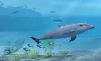 Shark VR sharks games for VR Screen Shot 4