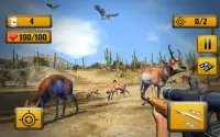 Wild Animal Shooting Screen Shot 0