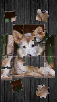 Pets Jigsaw Puzzle Game Screen Shot 3