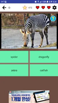 Animal Name Match Game - Fun Quiz Screen Shot 1
