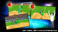 Real World Cricket League 19:  Screen Shot 2
