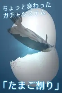 ３Ｄコレクション 海のいきもの 無脊椎動物 Screen Shot 3