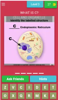 Anatomy Online Quiz: Cell and Organelles Screen Shot 3