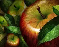 Rompecabezas de Frutas Screen Shot 9