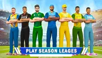 World Cricket Match Game Screen Shot 0