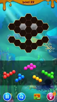 Hexa Block Puzzle Game Screen Shot 3