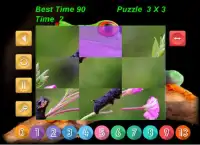 Puzzle Bizarre Animal Screen Shot 1