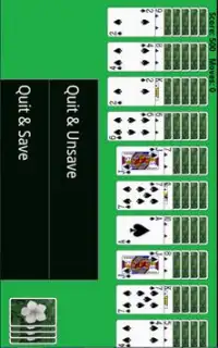 Spider Solitaire Screen Shot 4