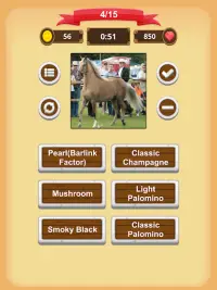 Horse Coat Colors Quiz Screen Shot 20