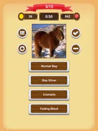 Horse Coat Colors Quiz Screen Shot 18