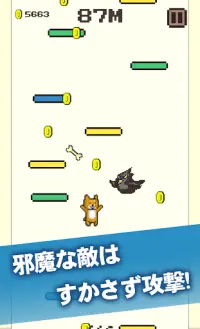 コタロージャンプ2～柴犬のコタローシリーズ～ Screen Shot 3