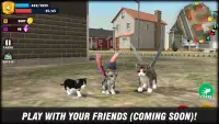 Cat Pet Simulator Online Sim Screen Shot 4