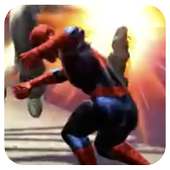 Spider Hero Web of Shadows Fighting