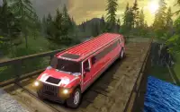 Gekke limousine: drive simulatie Screen Shot 0