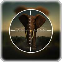 Animal Hunt Sniper Shooting 3D