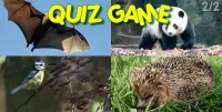 Animals Word Games for kids 10 years free spelling Screen Shot 2