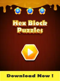 Hex Block Puzzles Screen Shot 9