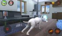 Simulador de perro Bull Terier Screen Shot 12