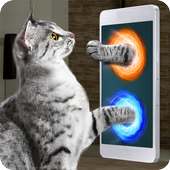 Real Portal Cat Simulator Prank