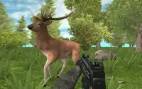 Hunter: Animals In The Forest Screen Shot 0