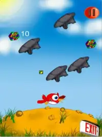 HummingBird Game Screen Shot 4