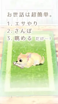 癒しの子犬育成ゲーム〜チワワ編〜 Screen Shot 6