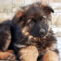 German Shepard Jigsaw Puzzles เกมฟรี🧩🐕🧩🐾 Screen Shot 1