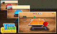 Table Tennis Champion Tour Screen Shot 1