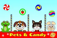 Pets & Candy. Cute animals Screen Shot 6