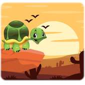 Turtle Adventure