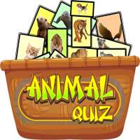 Animal Quiz Id